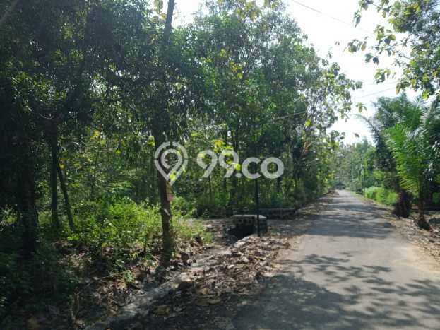 Untuk Dijual Tanah di Wonogiri Wonogiri Luas 3475m2 SHM Untuk Dijual Tanah di Wonogiri Wonogiri Luas 3475m2 SHM