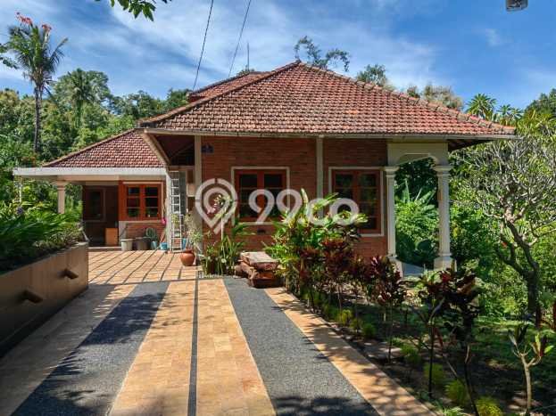 Hunian Mewah LB 155m2 Siap Huni Desain Elegan di Lovina, Buleleng Hunian Mewah LB 155m2 Siap Huni Desain Elegan di Lovina, Buleleng