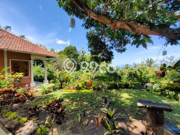 Hunian Mewah LB 155m2 Siap Huni Desain Elegan di Lovina, Buleleng Hunian Mewah LB 155m2 Siap Huni Desain Elegan di Lovina, Buleleng
