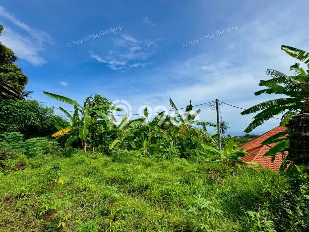 Tanah di Lovina, Luas 900m², Lokasi Premium, Cocok untuk Properti Tanah di Lovina, Luas 900m², Lokasi Premium, Cocok untuk Properti