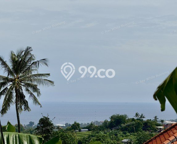 Tanah di Lovina, Luas 900m², Lokasi Premium, Cocok untuk Properti Tanah di Lovina, Luas 900m², Lokasi Premium, Cocok untuk Properti