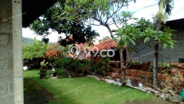 LOKASI PREMIUM! Rumah Berkembang di Lovina, LT 255m² Bangunan 0m² LOKASI PREMIUM! Rumah Berkembang di Lovina, LT 255m² Bangunan 0m²