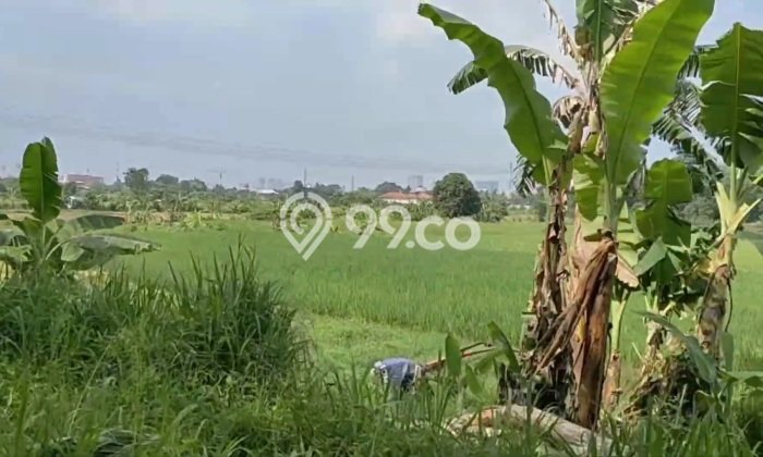 Tanah Komersial Dijual di Legok Tangerang 160000m2 Tanah Komersial Dijual di Legok Tangerang 160000m2