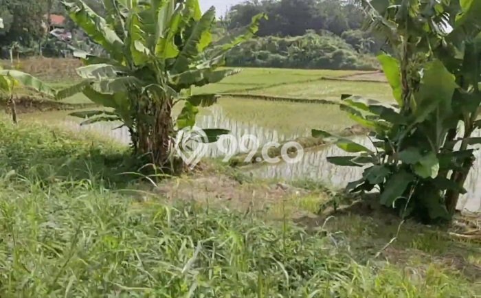 Tanah Komersial Dijual di Legok Tangerang 160000m2 Tanah Komersial Dijual di Legok Tangerang 160000m2