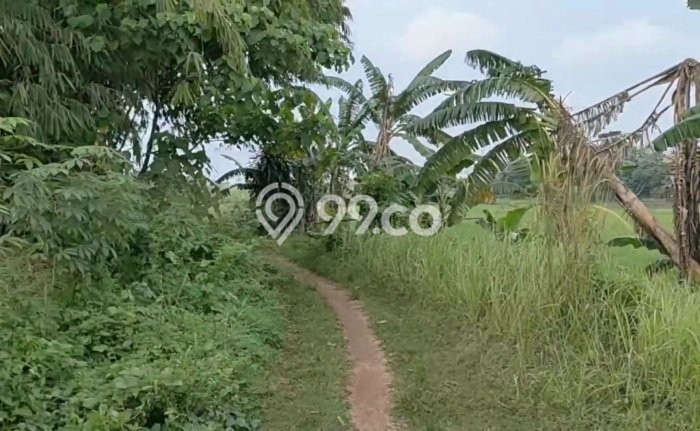 Tanah Komersial Dijual di Legok Tangerang 160000m2 Tanah Komersial Dijual di Legok Tangerang 160000m2