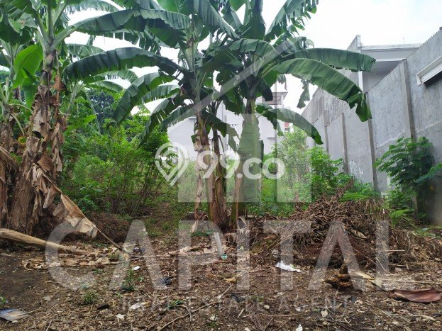 Tanah Kavling Dijual di Dago, Bandung dengan Luas Tanah 1068m2 Tanah Kavling Dijual di Dago, Bandung dengan Luas Tanah 1068m2