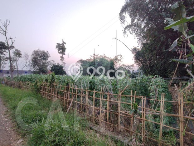 Dijual Tanah di Bandung, Luas 2400m2 SHM Dijual Tanah di Bandung, Luas 2400m2 SHM