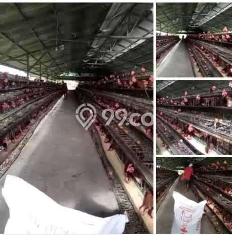 Unit Komersial Dijual di Rumpin Bogor Luas Bangunan 10000m2 Unit Komersial Dijual di Rumpin Bogor Luas Bangunan 10000m2