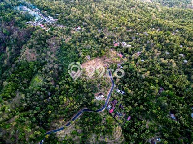 Jarang Ada! Tanah di Buleleng Punya Luas 10000m2 SHM Jarang Ada! Tanah di Buleleng Punya Luas 10000m2 SHM