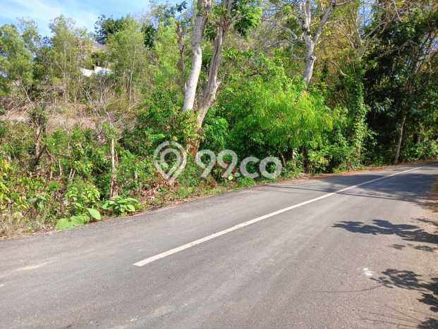 Tanah Disewakan Lokasi Pecatu Badung Luas 500m2 Tanah Disewakan Lokasi Pecatu Badung Luas 500m2