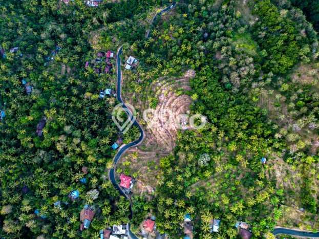 Jarang Ada! Tanah di Buleleng Punya Luas 10000m2 SHM Jarang Ada! Tanah di Buleleng Punya Luas 10000m2 SHM