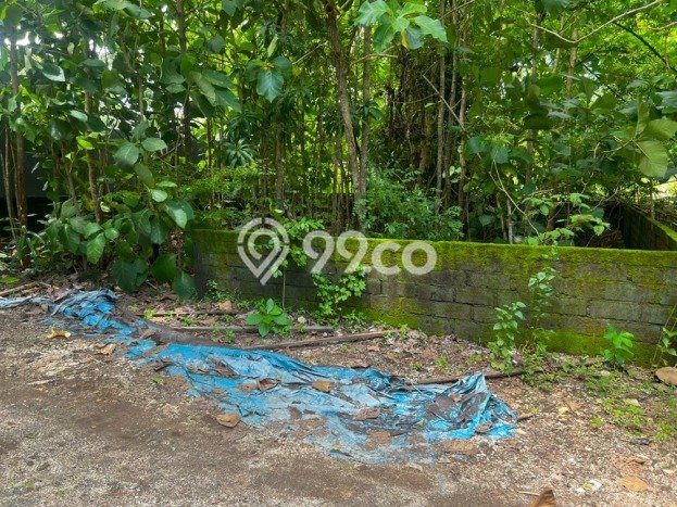 Tanah Investasi Dijual di Badung Punya Luas 300m2 Tanah Investasi Dijual di Badung Punya Luas 300m2