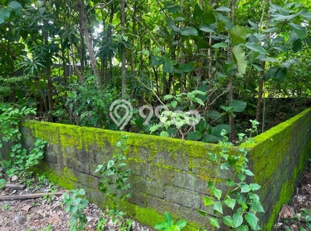 Tanah Investasi Dijual di Badung Punya Luas 300m2 Tanah Investasi Dijual di Badung Punya Luas 300m2