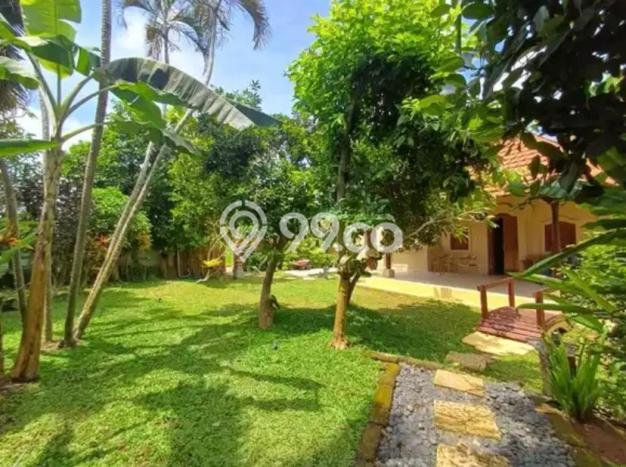 Vila Strategis di Ubud, Luas 1500m2m², Posisi Premium dengan jalan bagus Vila Strategis di Ubud, Luas 1500m2m², Posisi Premium dengan jalan bagus