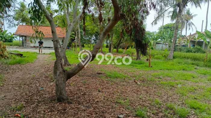 Lahan untuk Dijual Lokasi Kutawaluya, Karawang Luas 3283m2 SHM Lahan untuk Dijual Lokasi Kutawaluya, Karawang Luas 3283m2 SHM