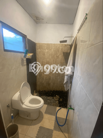 Rumah Modern Minimalis 2 Kamar Siap Huni di Mengwi Rumah Modern Minimalis 2 Kamar Siap Huni di Mengwi