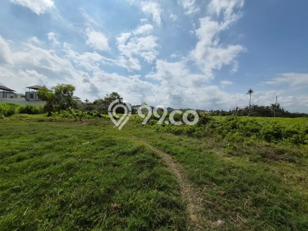 Tanah Dijual Lokasi Strategis di Gianyar dengan Luas 14387m2 Tanah Dijual Lokasi Strategis di Gianyar dengan Luas 14387m2