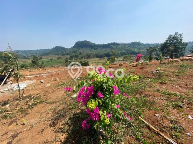 Tanah Komersial Dijual di Tanjungsari Bogor 100m2 Tanah Komersial Dijual di Tanjungsari Bogor 100m2