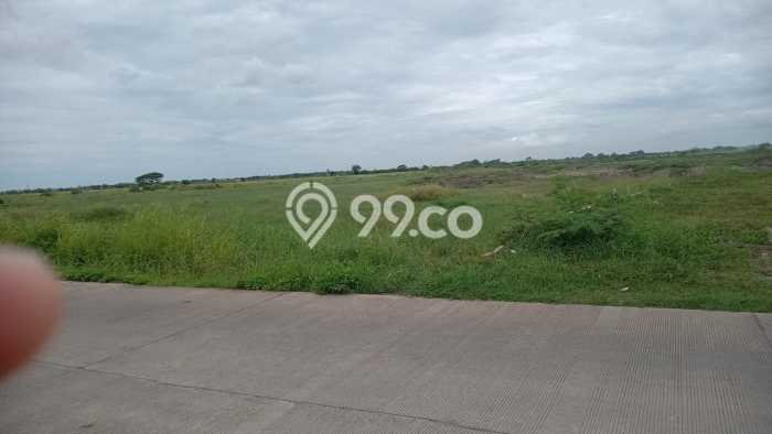 HARGA MENARIK! Tanah di Ciruas, Luas 10000m2m², Lokasi Potensial HARGA MENARIK! Tanah di Ciruas, Luas 10000m2m², Lokasi Potensial