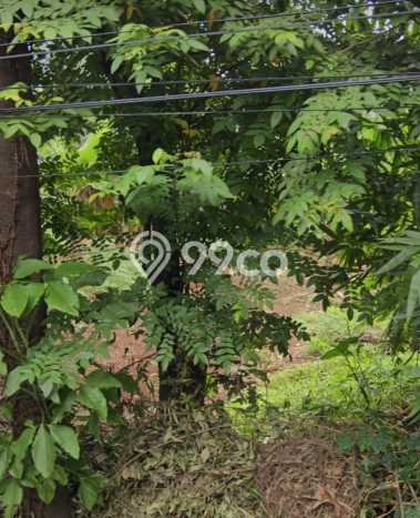 Tanah Dijual di Depok Seluas 500m2 Strategis Tanah Dijual di Depok Seluas 500m2 Strategis