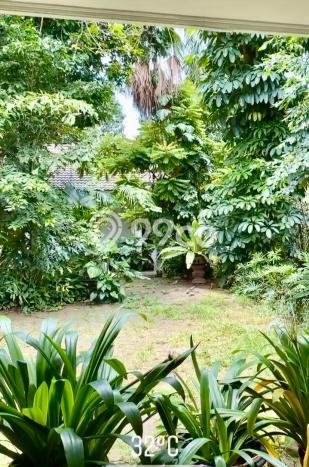 Siap Huni Hunian Elit 4 Kamar di Menteng Dekat ke Mana Saja Siap Huni Hunian Elit 4 Kamar di Menteng Dekat ke Mana Saja
