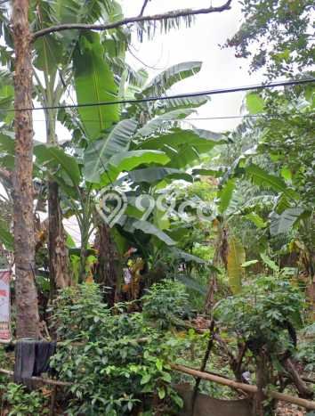 Tanah Dijual di Depok Seluas 500m2 Strategis Tanah Dijual di Depok Seluas 500m2 Strategis
