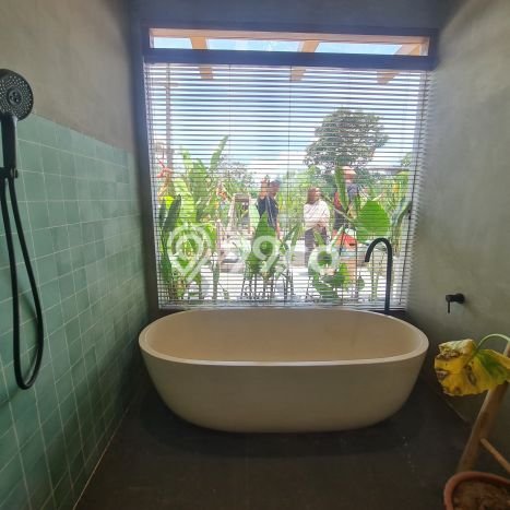 Rumah Elit Modern Siap Huni di Ungasan Badung Rumah Elit Modern Siap Huni di Ungasan Badung