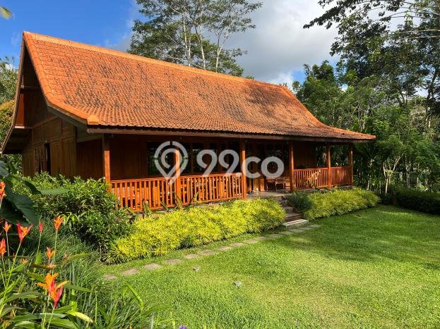 Hot Offer Hunian Mewah Ideal dan Luas di Payangan, Gianyar Hot Offer Hunian Mewah Ideal dan Luas di Payangan, Gianyar
