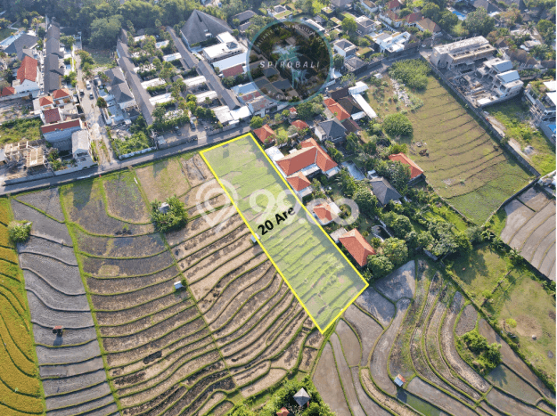 Dijual Tanah 2000m2 di Umalas, Badung Dijual Tanah 2000m2 di Umalas, Badung
