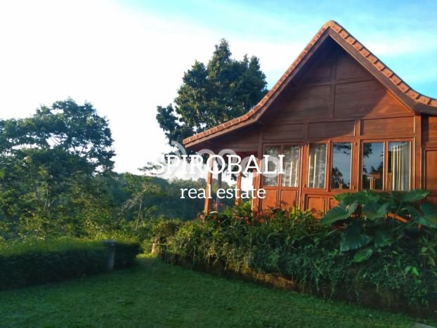 Hot Offer Hunian Mewah Ideal dan Luas di Payangan, Gianyar Hot Offer Hunian Mewah Ideal dan Luas di Payangan, Gianyar