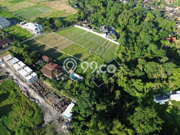 Dijual Tanah Area Prospektif Kawasan Buwit, Luas 4285m2m², Akses Buwit, Tabanan, Tabanan Dijual Tanah Area Prospektif Kawasan Buwit, Luas 4285m2m², Akses Buwit, Tabanan, Tabanan