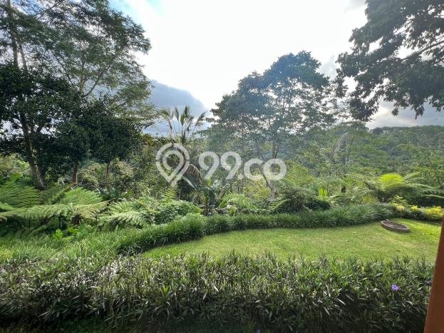 Hot Offer Hunian Mewah Ideal dan Luas di Payangan, Gianyar Hot Offer Hunian Mewah Ideal dan Luas di Payangan, Gianyar