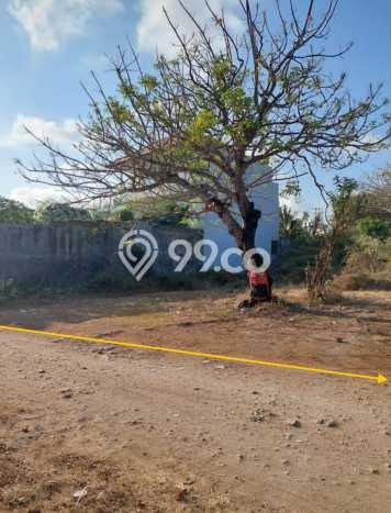 Tanah Kavling Dijual di Badung dengan Spesifikasi 895m2 Tanah Kavling Dijual di Badung dengan Spesifikasi 895m2