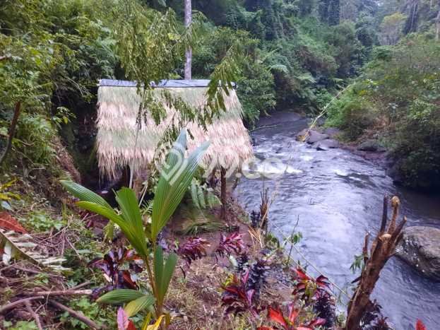 Untuk Dijual Tanah di Payangan Gianyar Luas 30000m2 SHM Untuk Dijual Tanah di Payangan Gianyar Luas 30000m2 SHM