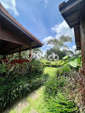 Hot Offer Hunian Mewah Ideal dan Luas di Payangan, Gianyar Hot Offer Hunian Mewah Ideal dan Luas di Payangan, Gianyar