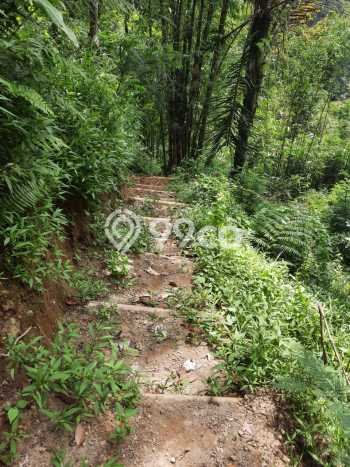 Untuk Dijual Tanah di Payangan Gianyar Luas 30000m2 SHM Untuk Dijual Tanah di Payangan Gianyar Luas 30000m2 SHM