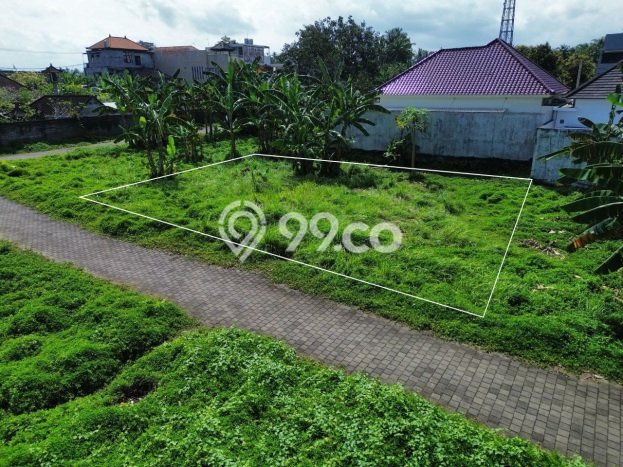 Tanah Investasi Dijual di Gianyar Punya Luas 453m2 Tanah Investasi Dijual di Gianyar Punya Luas 453m2