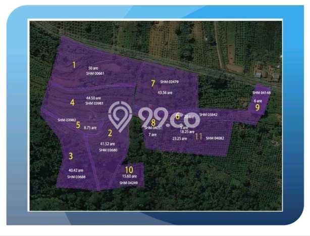 Untuk Dijual Tanah di Payangan Gianyar Luas 30000m2 SHM Untuk Dijual Tanah di Payangan Gianyar Luas 30000m2 SHM