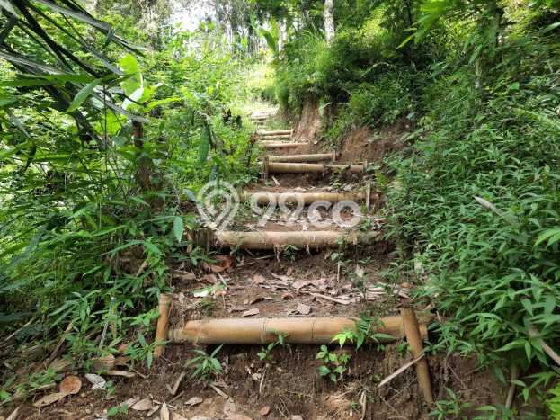 Untuk Dijual Tanah di Payangan Gianyar Luas 30000m2 SHM Untuk Dijual Tanah di Payangan Gianyar Luas 30000m2 SHM