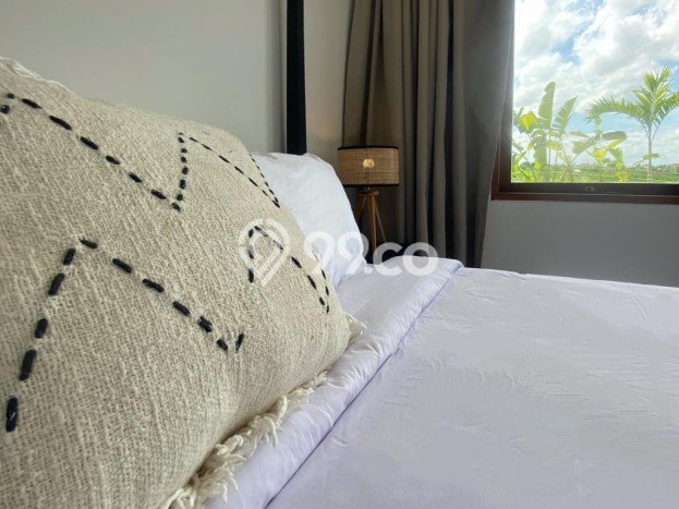 Sewa Rumah Nyaman di Canggu LT 200m2 / LB 200m2 Siap Huni Sewa Rumah Nyaman di Canggu LT 200m2 / LB 200m2 Siap Huni