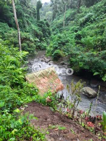 Untuk Dijual Tanah di Payangan Gianyar Luas 30000m2 SHM Untuk Dijual Tanah di Payangan Gianyar Luas 30000m2 SHM