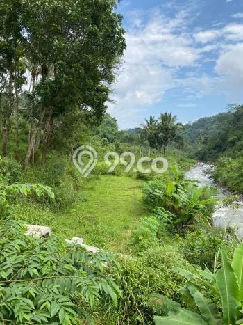 Tanah Kavling untuk Dijual di Bumiayu Brebes 9030m2 Tanah Kavling untuk Dijual di Bumiayu Brebes 9030m2