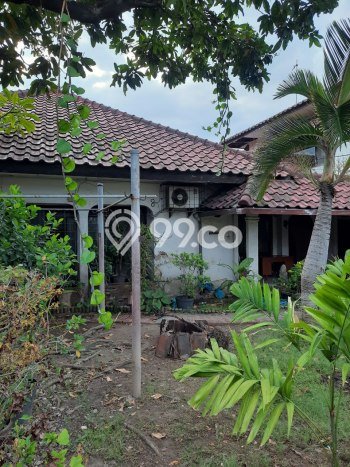 Rumah Elit Modern Tanpa Renovasi di Kutisari Surabaya Rumah Elit Modern Tanpa Renovasi di Kutisari Surabaya