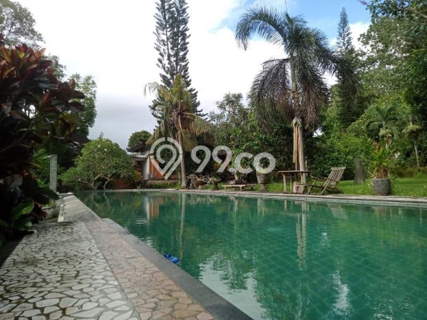 KESEMPATAN EMAS! Vila di , Dimensi 3500m2m², Lokasi Elite dengan keamanan terjaga KESEMPATAN EMAS! Vila di , Dimensi 3500m2m², Lokasi Elite dengan keamanan terjaga