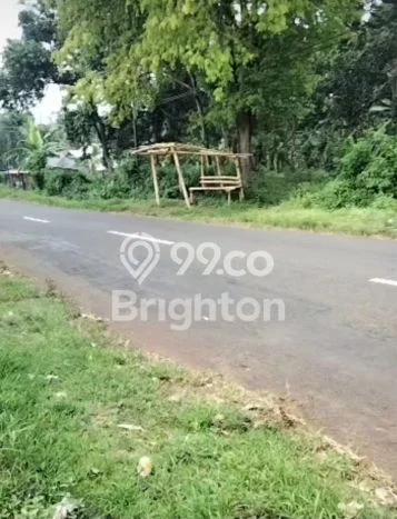 Tanah untuk Dijual Lokasi Lumbang, Pasuruan Luas 1e+06m2 SHM Tanah untuk Dijual Lokasi Lumbang, Pasuruan Luas 1e+06m2 SHM