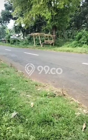 Kavling Tanah Dijual di Lumbang Pasuruan Spesifikasi 1e+06m2 Kavling Tanah Dijual di Lumbang Pasuruan Spesifikasi 1e+06m2