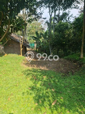 Vila Kawasan Soreang, Luas 4400m2m², Ideal untuk beragam kebutuhan Vila Kawasan Soreang, Luas 4400m2m², Ideal untuk beragam kebutuhan