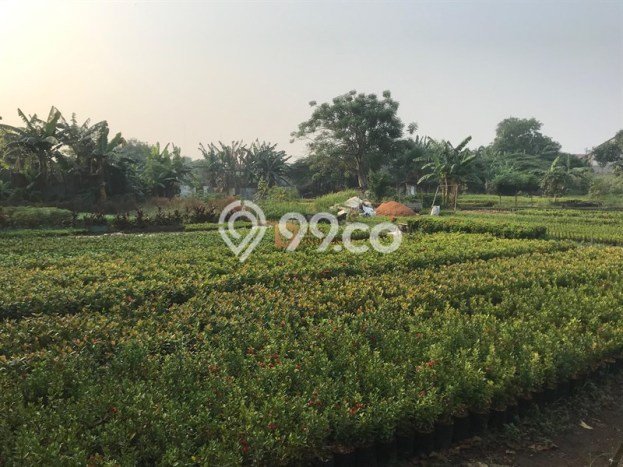 Kavling Tanah di Karang Tengah Dijual Luas 8300m2 Legalitas SHM Kavling Tanah di Karang Tengah Dijual Luas 8300m2 Legalitas SHM