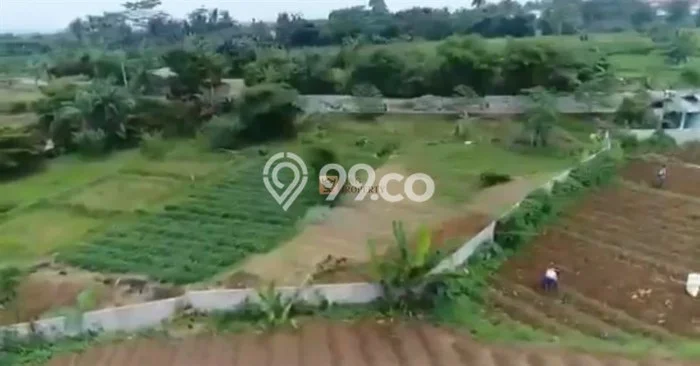 Tanah Dijual Lokasi Dramaga, Bogor Luas 6.15e+07m2 Legalitas Aman Tanah Dijual Lokasi Dramaga, Bogor Luas 6.15e+07m2 Legalitas Aman