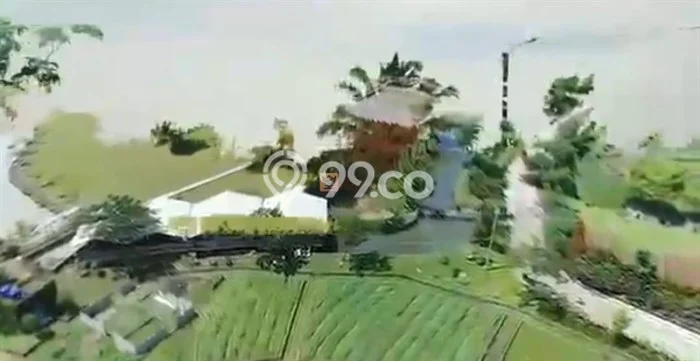 Tanah Dijual Lokasi Dramaga, Bogor Luas 6.15e+07m2 Legalitas Aman Tanah Dijual Lokasi Dramaga, Bogor Luas 6.15e+07m2 Legalitas Aman